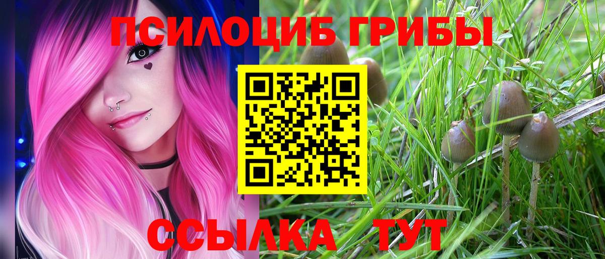 Новороссийск  Галлюциногенные грибы мицелий  Вход с VPN  Галлюциногенные грибы Magic Shrooms 